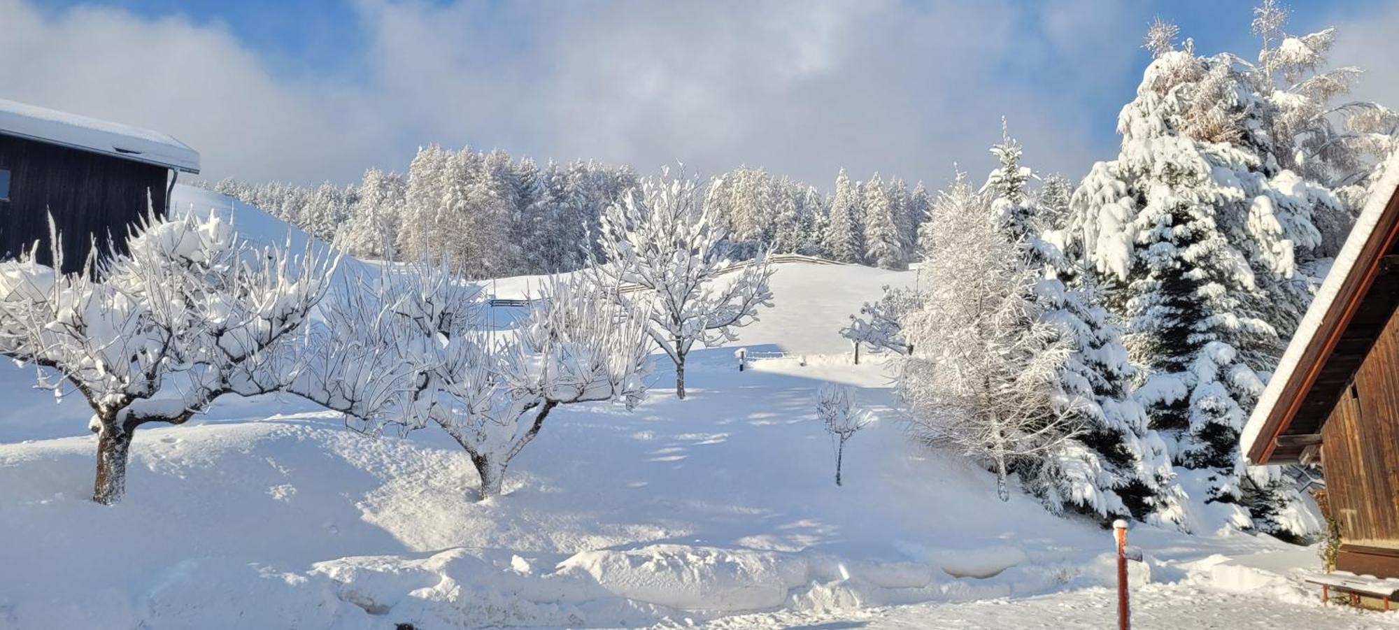 Ferienhaus Panorama Mutters Buitenkant foto